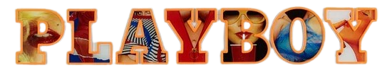 11-removebg-preview Neon Sign PLAYBOY meets Locomocean Acryl Orange 12V dimmbar handgemacht 115x1,9x19,5cm