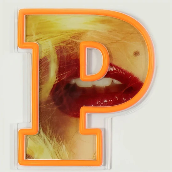 9n3zdxvxI9pEhH Neon Sign PLAYBOY meets Locomocean Acryl Orange 12V dimmbar handgemacht 115x1,9x19,5cm
