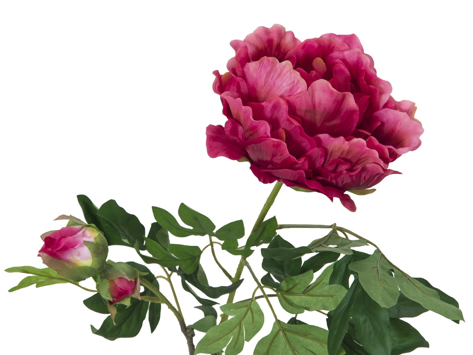 82530221b Pfingstrosenzweig Premium Kunstpflanze magenta 100cm
