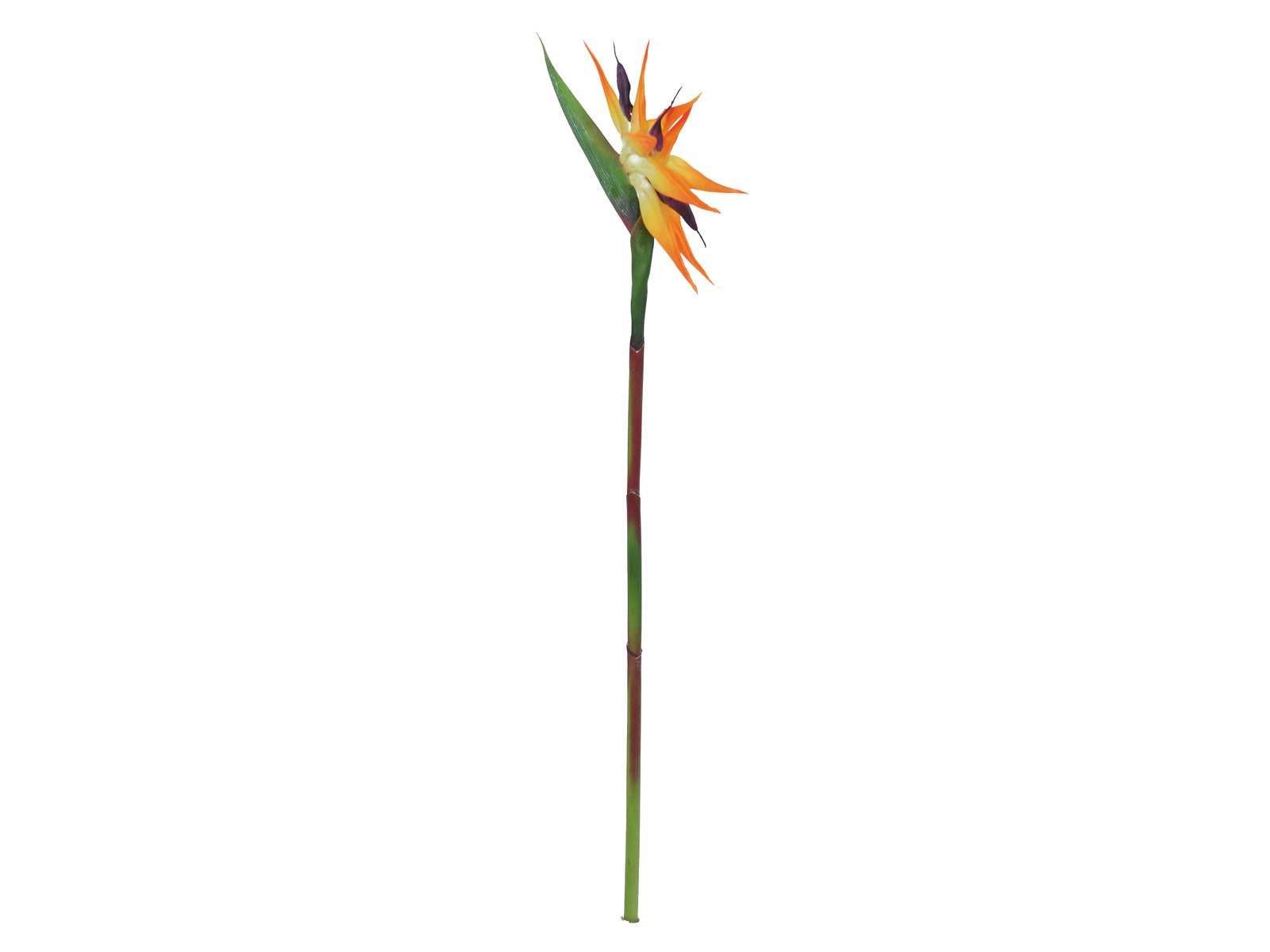 82530559a Paradiesvogel-Blume Kunstpflanze orange 95cm