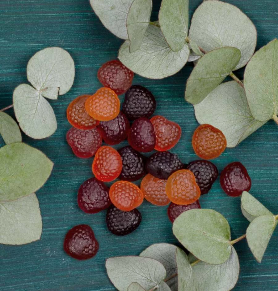 Veganer Naschbeutel PORTION LIEBE Waldfrüchte-Mix 86g