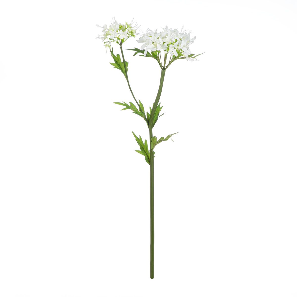 Kunstblume SPINNENLILIE Kunststoff Weiß 69cm Kunstblume SPINNENLILIE Kunststoff Weiß 69cm