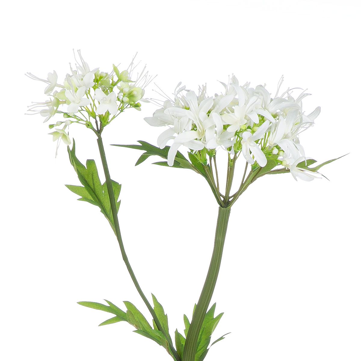 Kunstblume SPINNENLILIE Kunststoff Weiß 69cm Kunstblume SPINNENLILIE Kunststoff Weiß 69cm