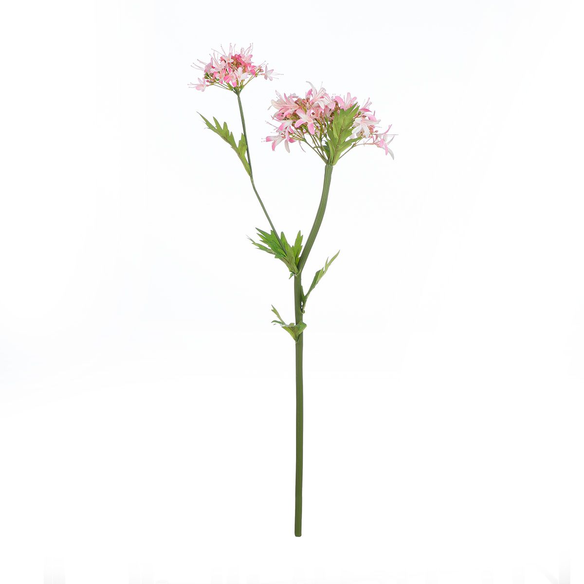 Kunstblume SPINNENLILIE Kunststoff Rosa 69cm
