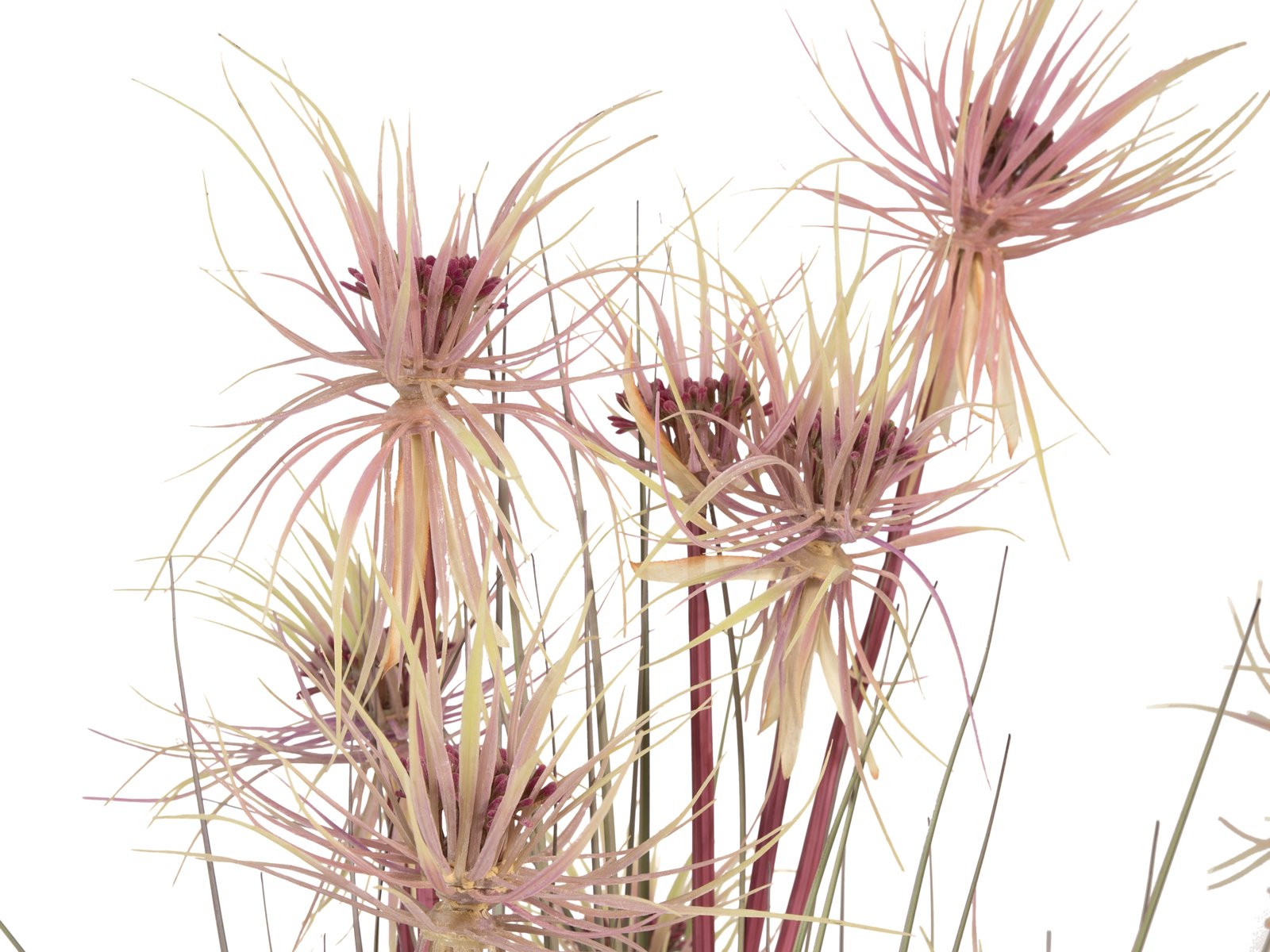 82600172b Sunny-Gras Kunstpflanze 120cm