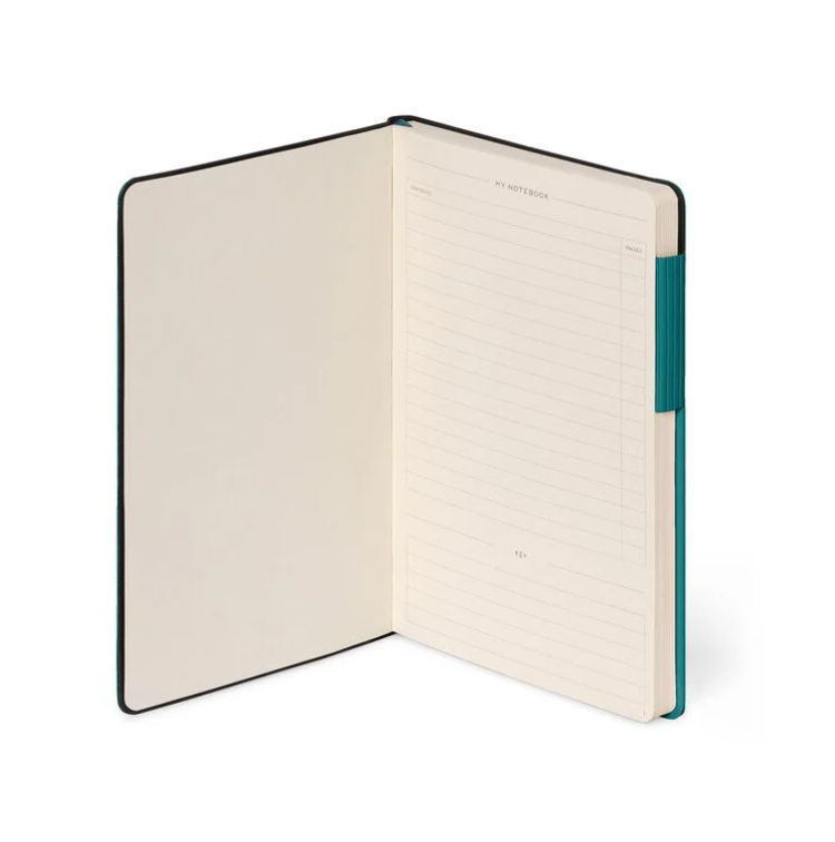 1OytnT2wmPf31O Liniertes Notizbuch - Medium - My Notebook 13x21cm 192 nummerierte Seiten Malachite Green Grün