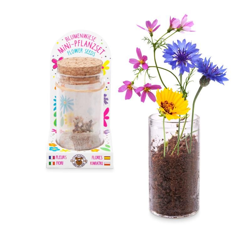 GOOD FEELINGS Mini Pflanzset BLUMENWIESE GOOD FEELINGS Mini Pflanzset BLUMENWIESE