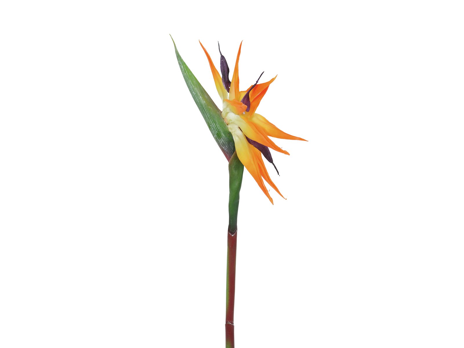 82530559b Paradiesvogel-Blume Kunstpflanze orange 95cm