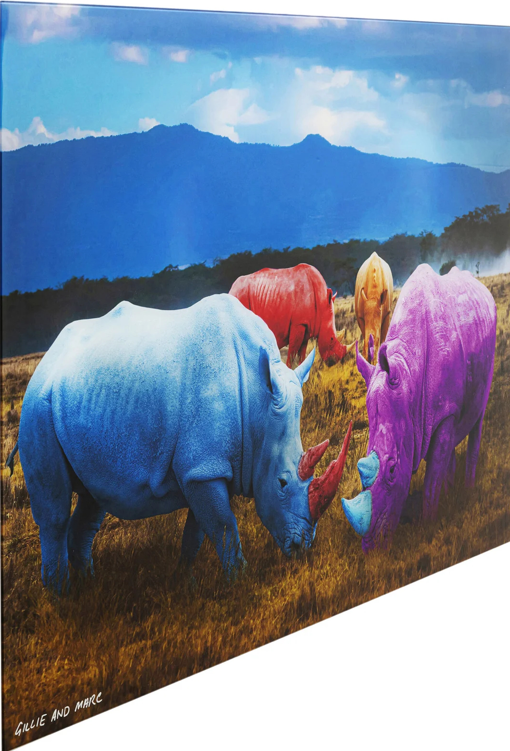IMG_0218 Glasbild RHINO COLORE 0,4x120x80cm