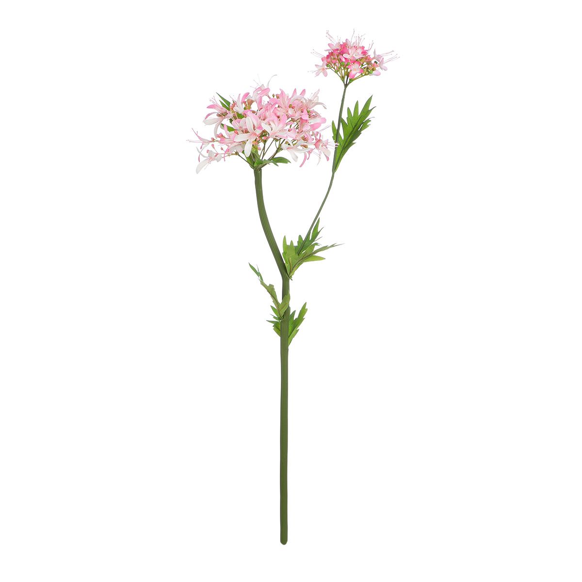 Kunstblume SPINNENLILIE Kunststoff Rosa 69cm Kunstblume SPINNENLILIE Kunststoff Rosa 69cm