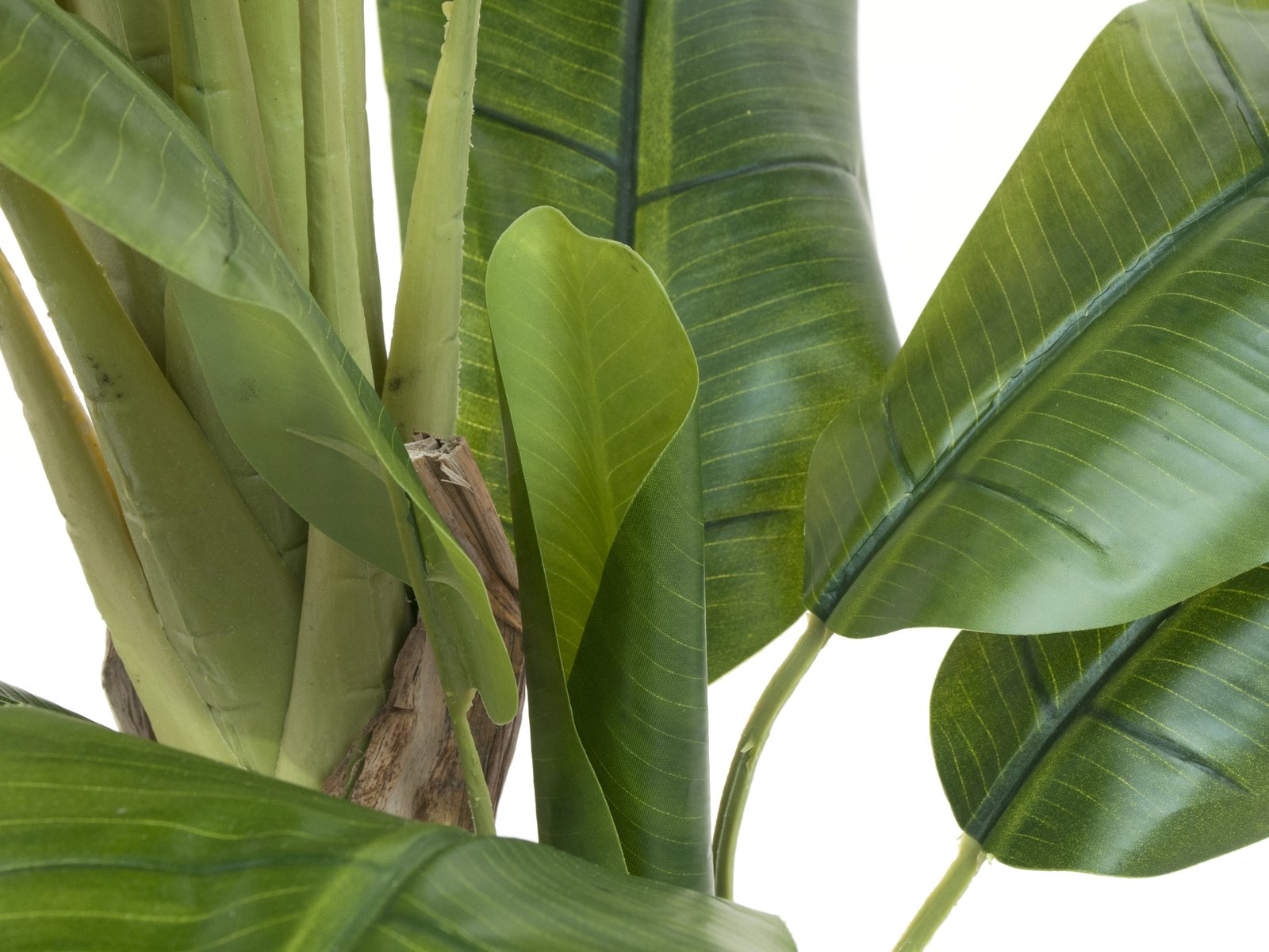 82509539b BANANENBAUM Kunstpflanze 170cm