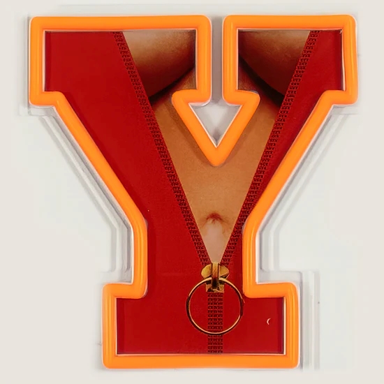 6Vi0n8MDv58Fsd Neon Sign PLAYBOY meets Locomocean Acryl Orange 12V dimmbar handgemacht 115x1,9x19,5cm