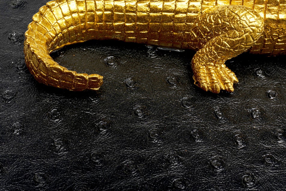 2er-Set Boxen CROCODILE Schwarz 20x30x15,5cm