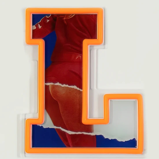 8jFDCfn4t7DpBU Neon Sign PLAYBOY meets Locomocean Acryl Orange 12V dimmbar handgemacht 115x1,9x19,5cm