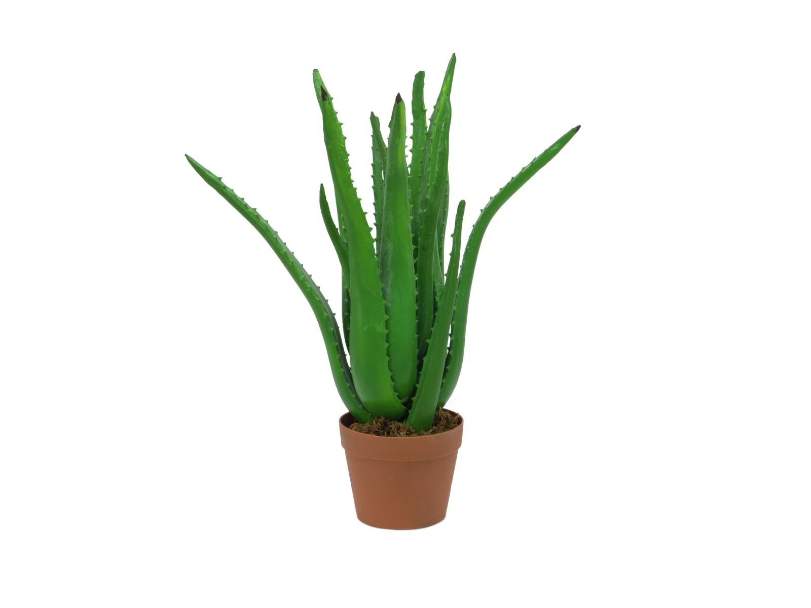 82809112a ALOE-VERA-Pflanze Kunstpflanze 63cm