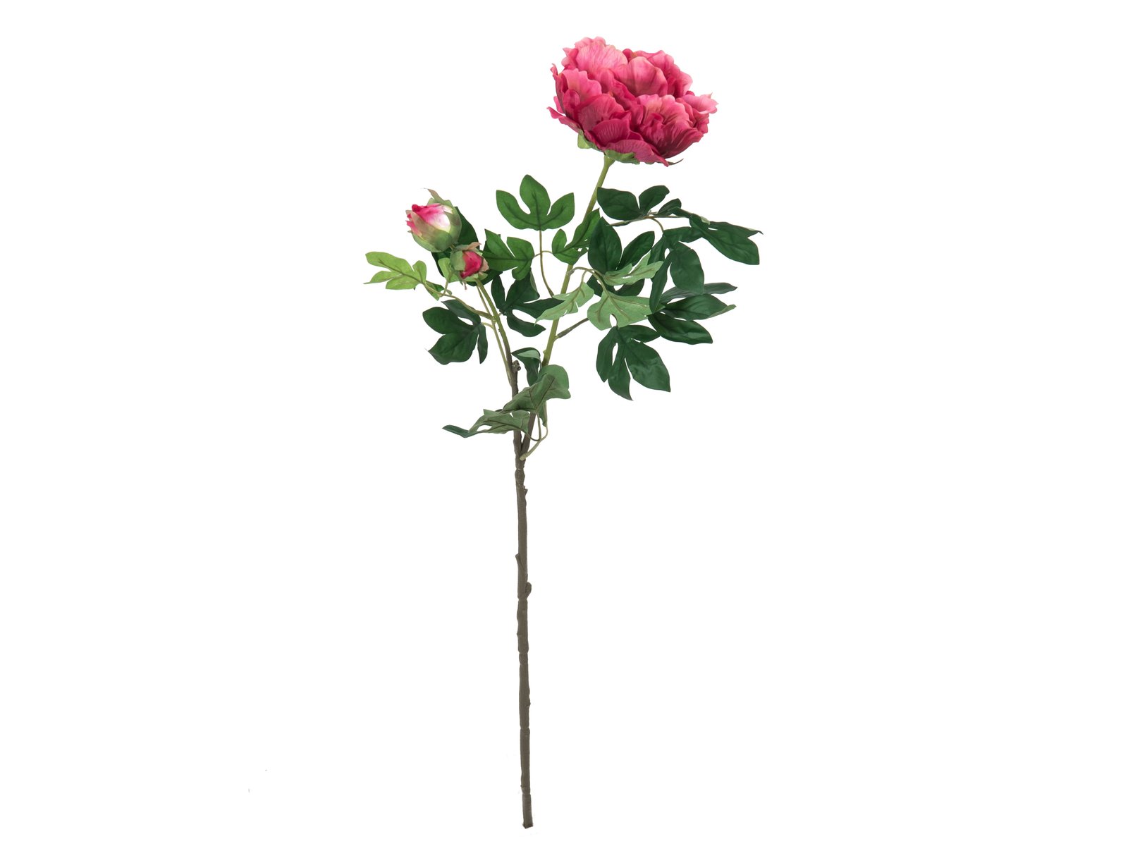 82530221a Pfingstrosenzweig Premium Kunstpflanze magenta 100cm