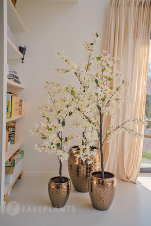 greenmoods-kunstpflanze-bougainvillea-180-cm-weiss-1 Kunstpflanze BOUGAINVILLEA weiß H:180cm