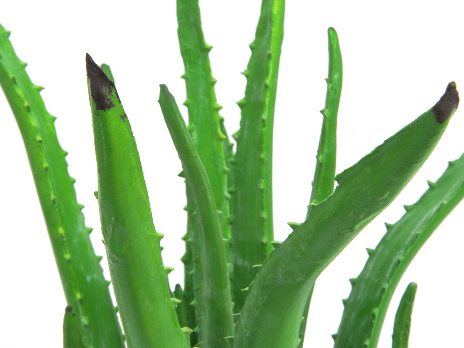 82809112b ALOE-VERA-Pflanze Kunstpflanze 63cm
