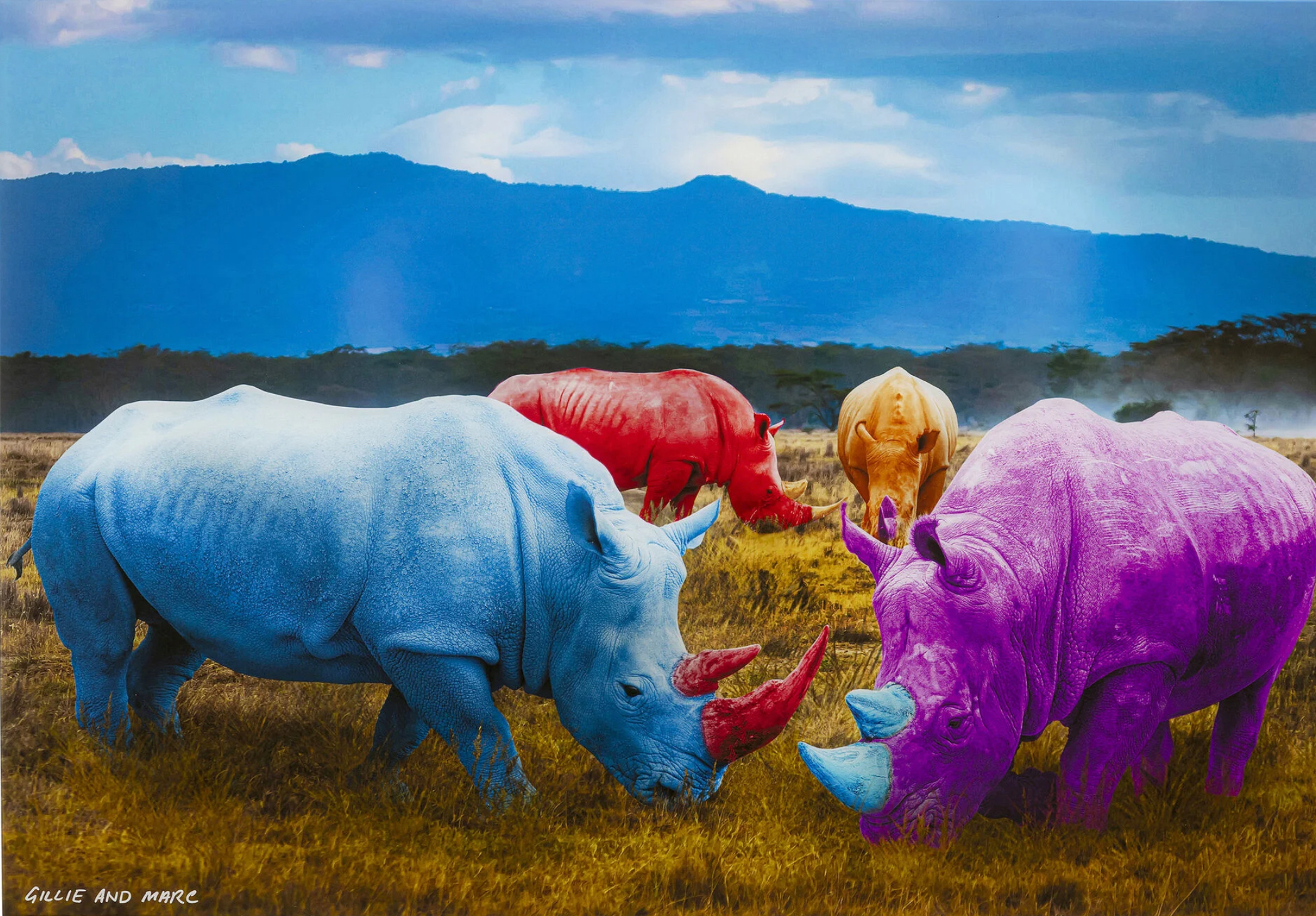 IMG_0219 Glasbild RHINO COLORE 0,4x120x80cm