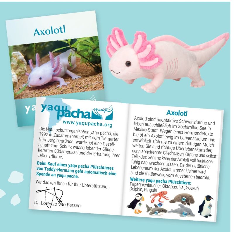 Axolotl rosa handgefertigt 11x10x38cm