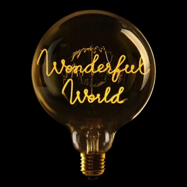 wonderfull_world LED Globebirne mit Schriftzug WONDERFUL WORLD G125 E27 2W 2200K 90lm 12,5x12,5x17,2cm